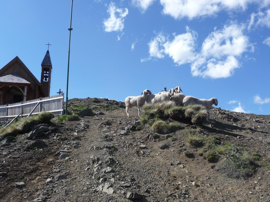 Hotel Garni Excelsior Livinallongo Del Col Di Lana Exterior foto